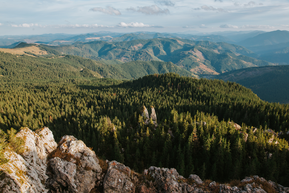 Obiective turistice Bucovina - ce poți face în vacanță în Țara fagilor