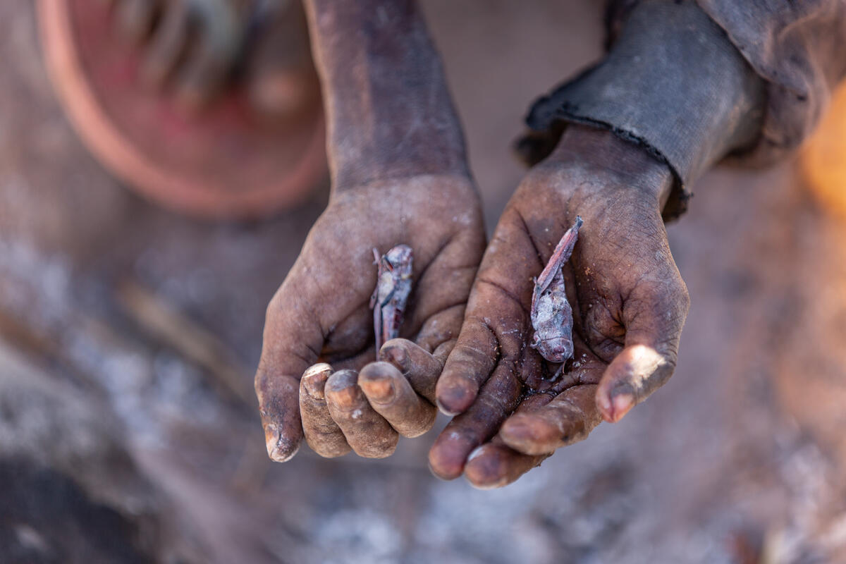 Locuitorii din Madagascar, nevoiți să mănânce greieri, frunze de cactus și noroi, din cauza foametei