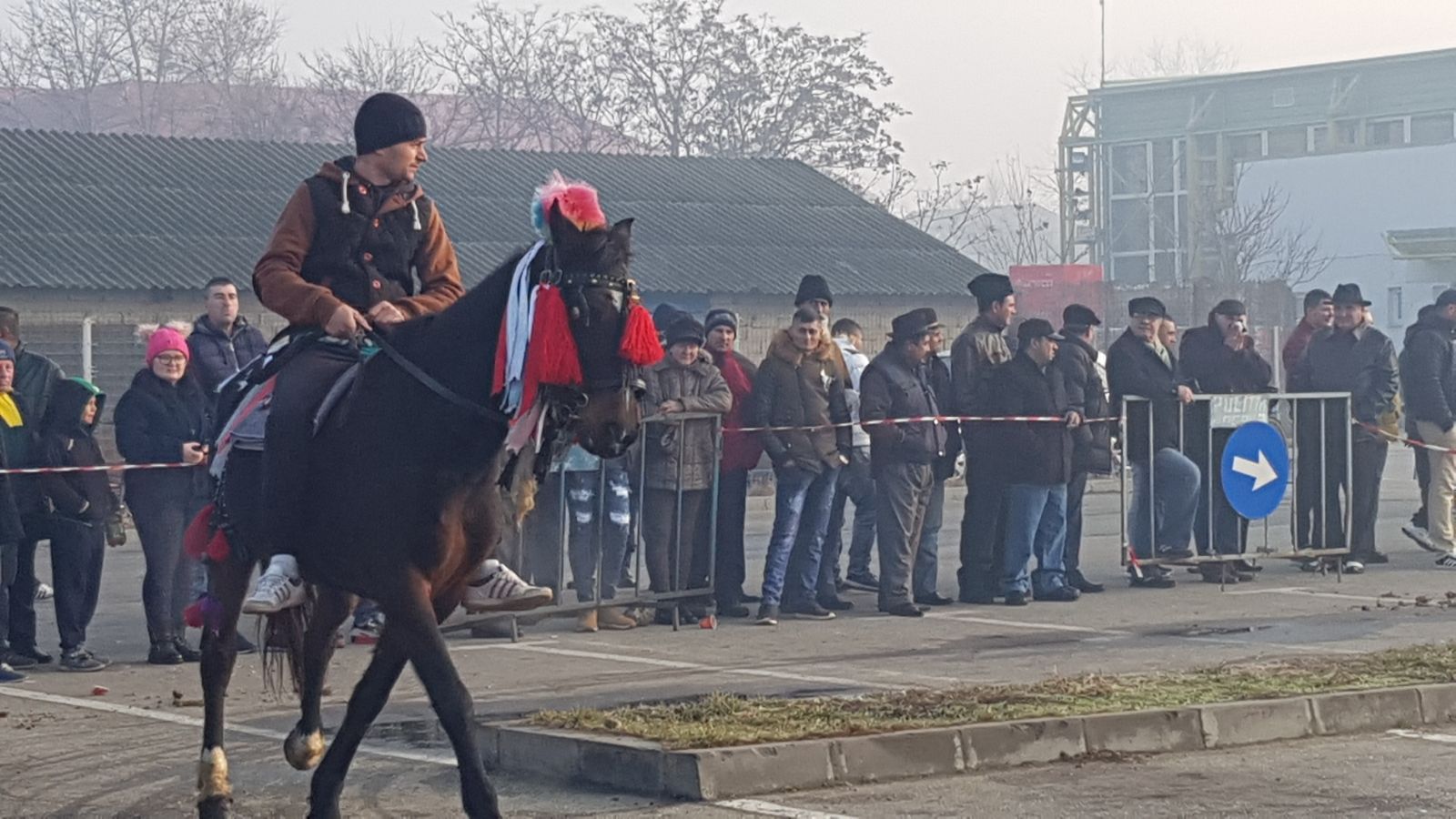 REPORTAJ: De Bobotează, caii din orașul lui Nea Mărin au fost stropiți cu agheasmă ca să nu se prindă blestemele de ei| FOTO