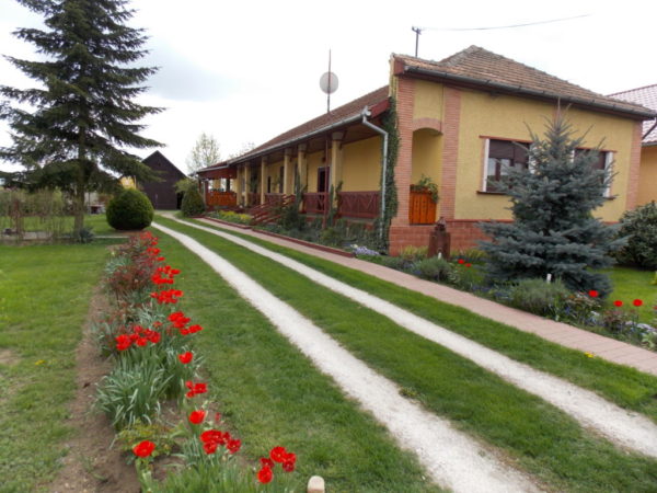 Petreşti sau “Mica Germanie”, comuna în care şvabii au schimbat “aerul” locului