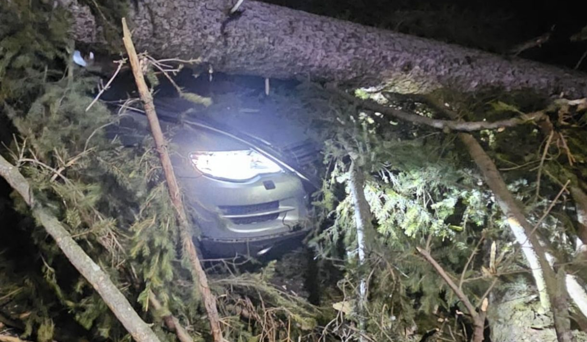 Furtună puternică pe Valea Prahovei: un stâlp a fost rupt, mai mulți copaci au fost doborâți de vânt, iar unul a căzut pe o mașină cu 3 oameni