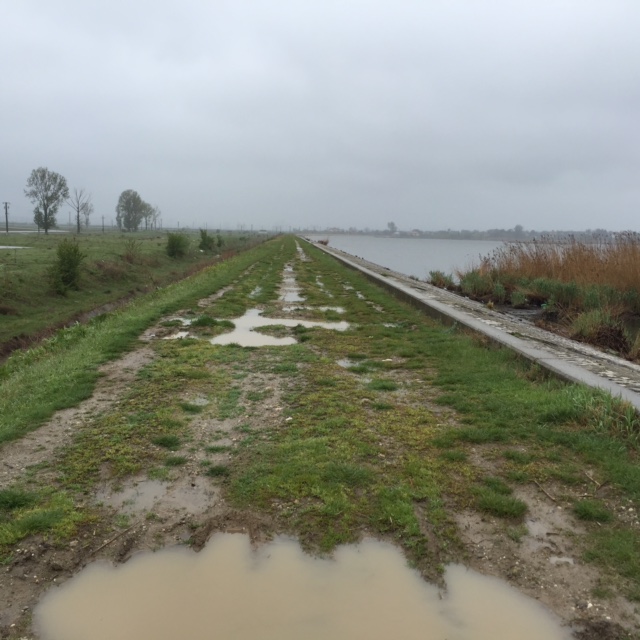 Evenimentul de ciclism ZIUA B, ce urma să aibă loc duminică, 23 aprilie, în Pădurea Cernica-Pantelimon, se va reprograma! GALERIE FOTO