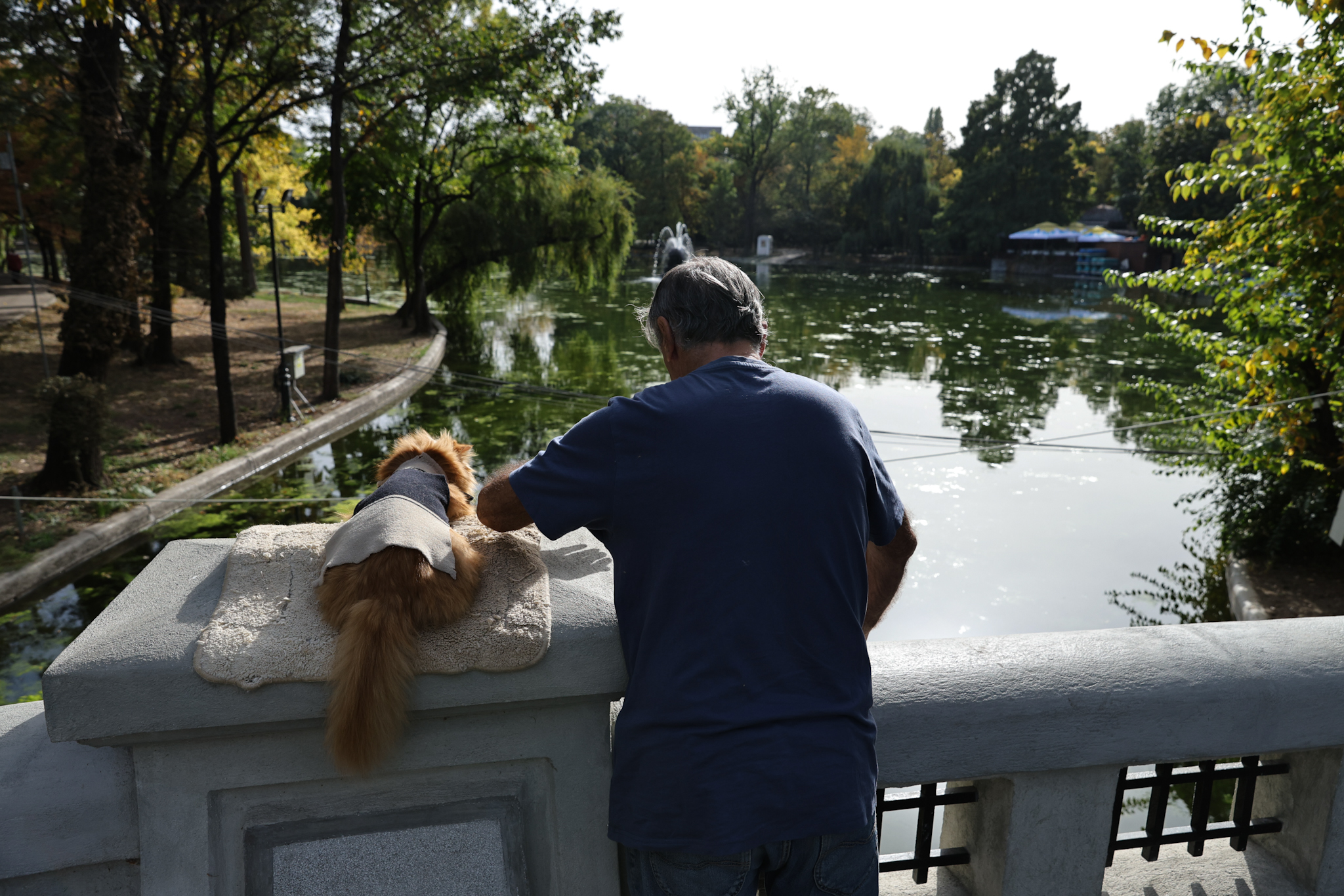 FOTO. Locurile de joacă pentru copii din Parcul Cișmigiu au fost modernizate. Noutatea: zonă specială pentru persoanele cu dizabilități
