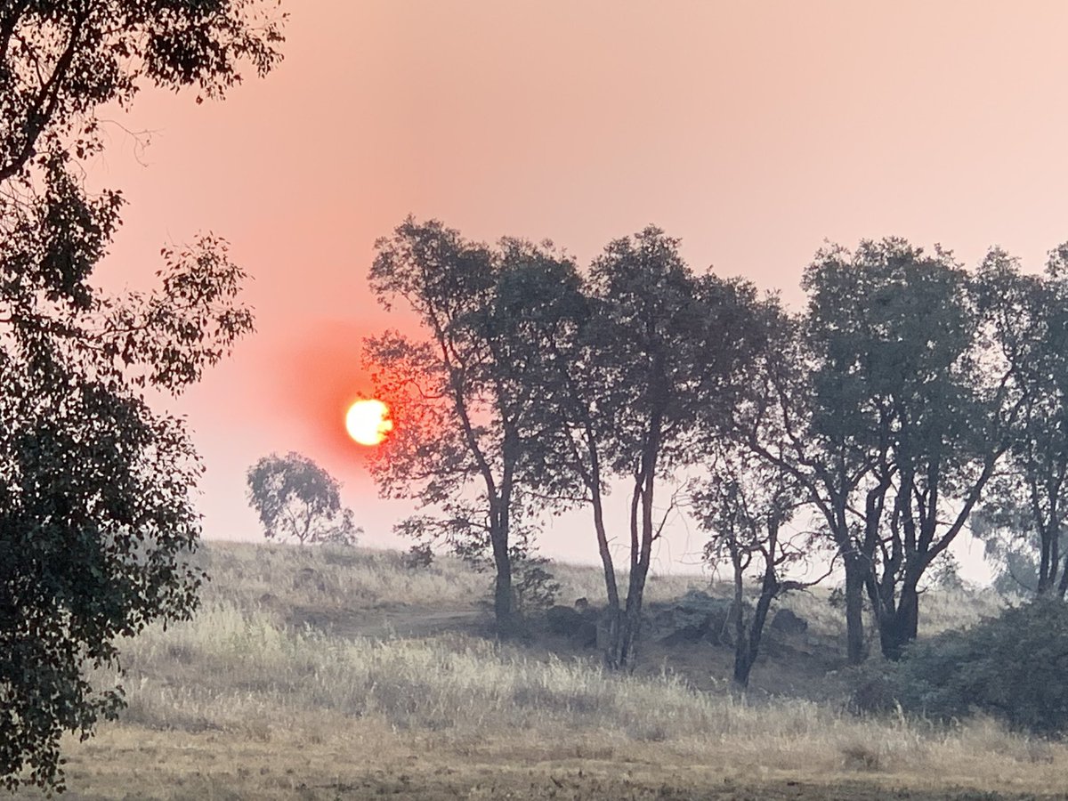 Capitala Australiei, învăluită de un nor toxic de fum. Canberra, mai poluată decât Shanghai