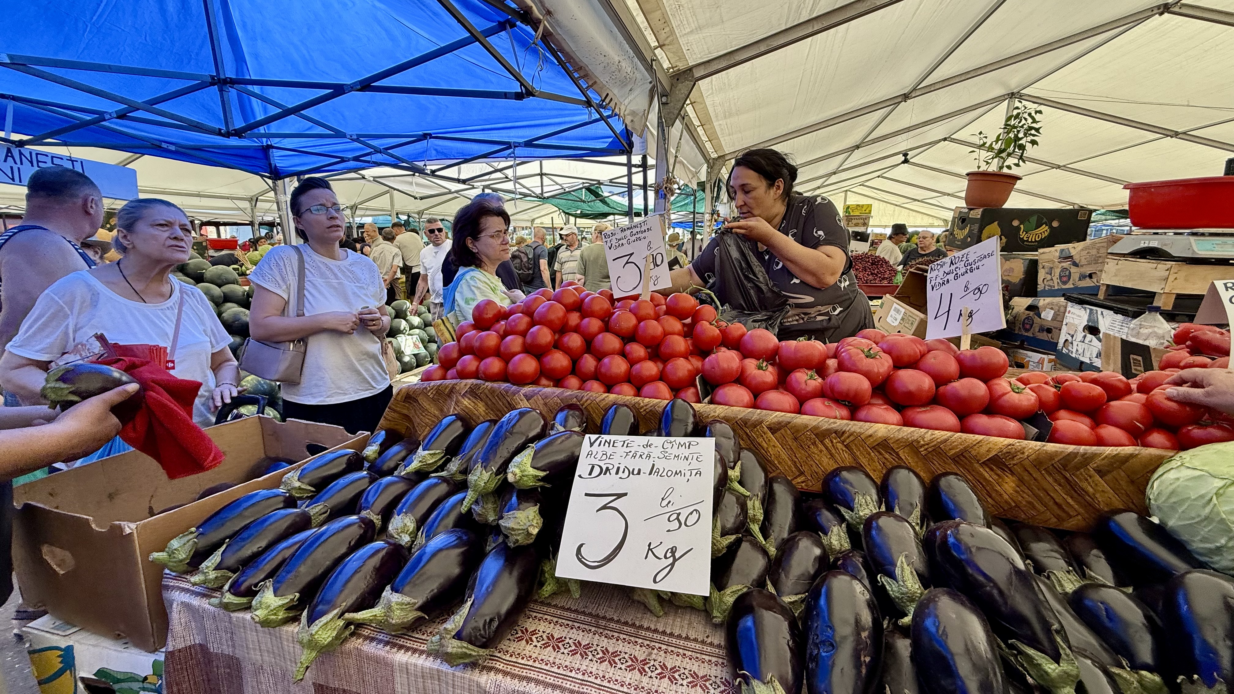 Cât costă kilogramul de vinete în piețe. Românii stau la cozi pentru salata preferată a verii