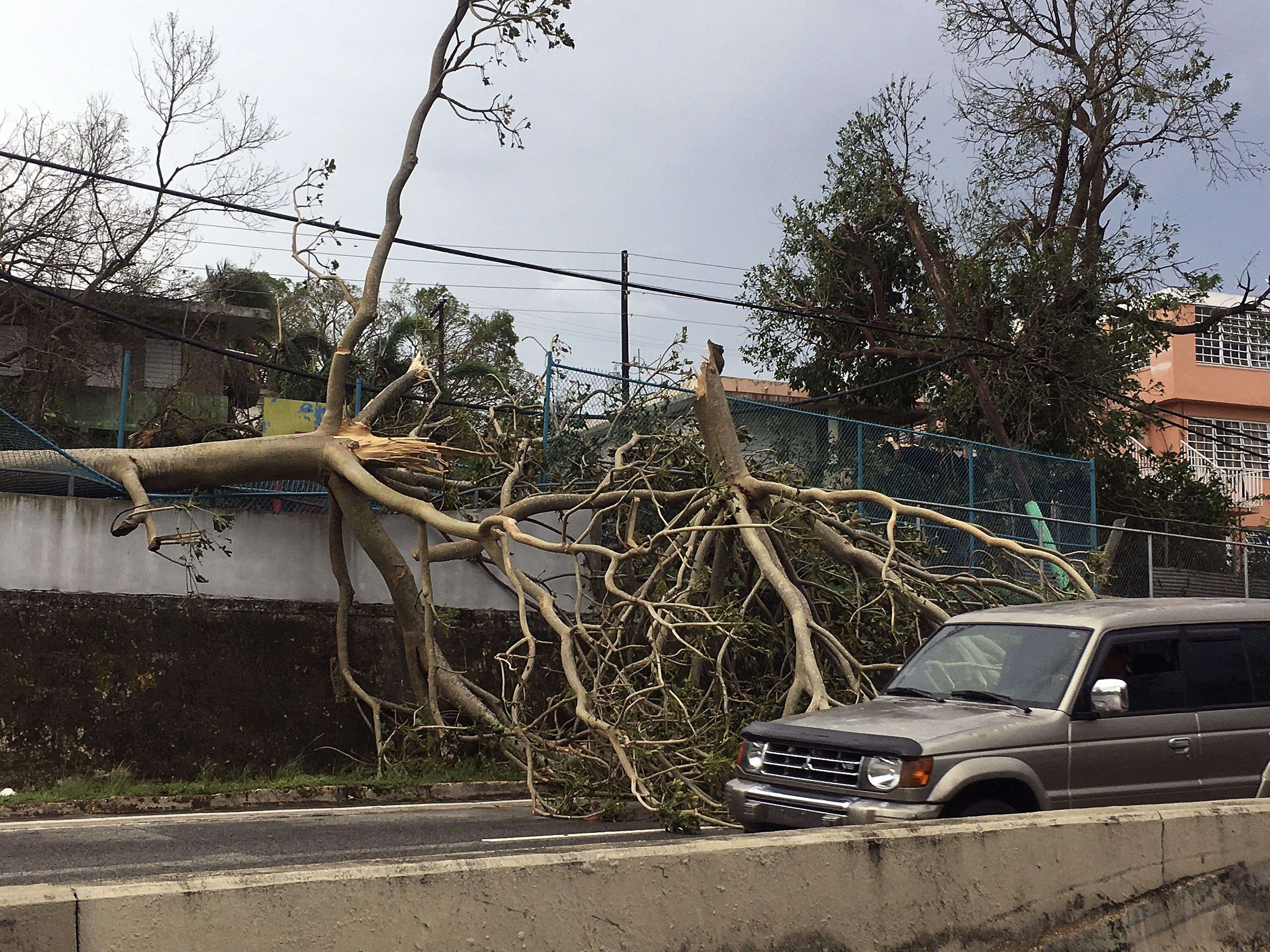 FOTO| Ce cetățenie are o persoană născută în Puerto Rico. Peste jumătate dintre americani nu au știut răspunsul