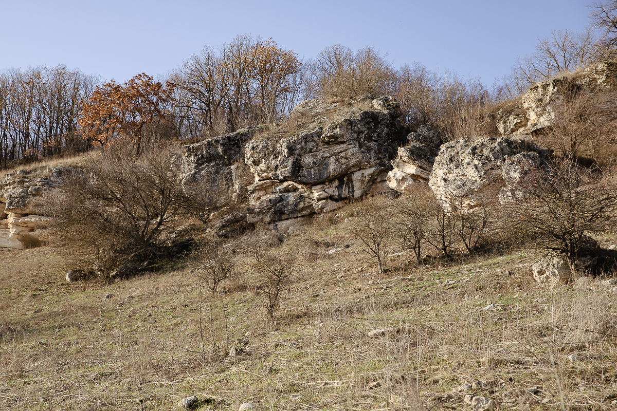 FOTOREPORTAJ. Una dintre cele mai vechi biserici din România a ajuns lăsată în grija lui Dumnezeu, a oilor și uliilor: „Nu v-aţi rătăcit, pe aici o ţineţi tot aşa, pe lângă pădure”