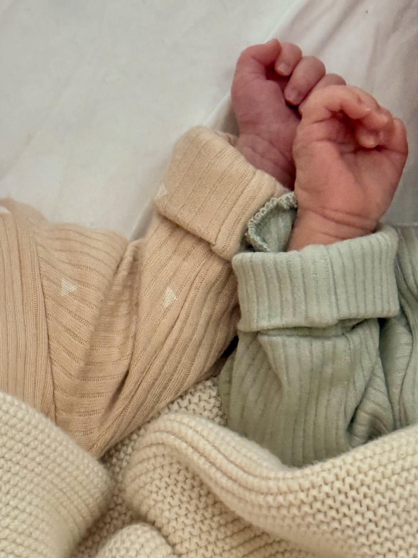 Cum s-a schimbat viața Roxanei Nemeș după ce a născut gemeni. „Am o doamnă asistentă extrem de drăguță, în care am încredere”