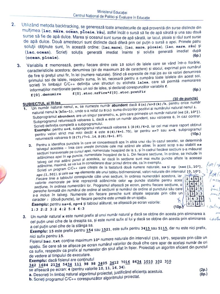 Subiecte informatică BAC 2023. Ce au avut de rezolvat elevii care au ales să dea Bacul la această materie