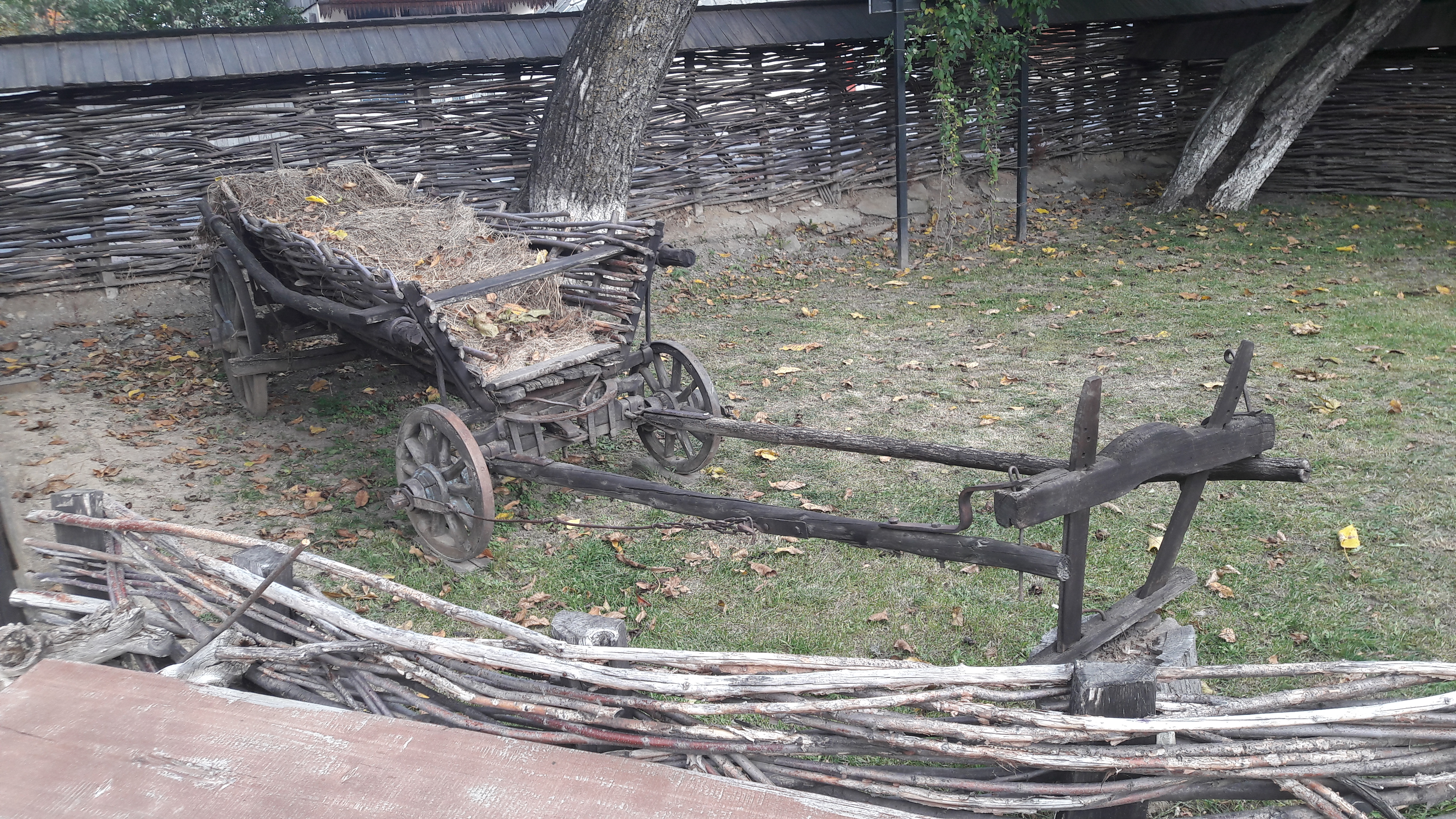 REPORTAJ | Pe urmele amintirilor lui Ion Creangă. Ozana cea frumos curgătoare aproape a secat, iar casa din Humulești e vizitată mai ales de moldovenii de peste Prut
