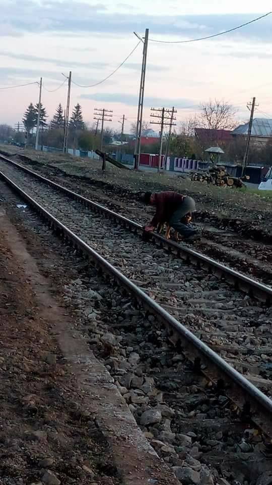 Câine legat cu lanțul de calea ferată de către un bătrân din Neamț supărat că animalul lătra și ataca găinile - FOTO