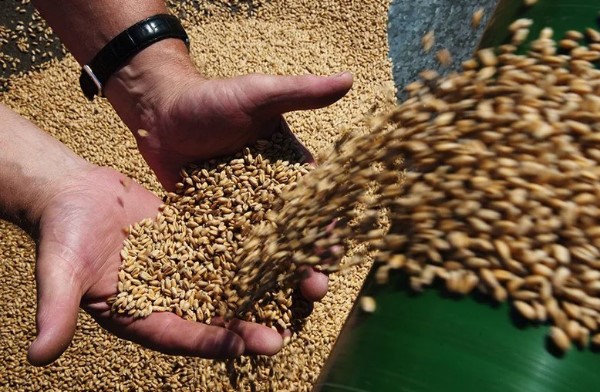 Egypt's new commodity exchange to be overseen by military-linked agency
