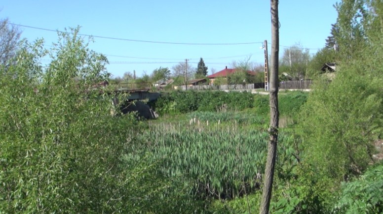 Cum arată casa modestă din Teleorman în care a copilărit Gina Pistol. Imagini din camera în care a crescut