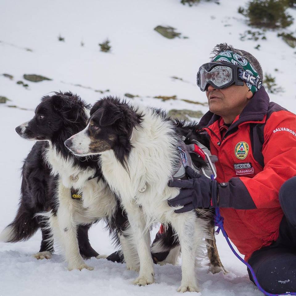 REPORTAJ/Povestea câinilor de avalanșă Helios și Dara sau încrederea de nezdruncinat dintre om şi animal: "Unde merg eu, merg şi ei"/ FOTO