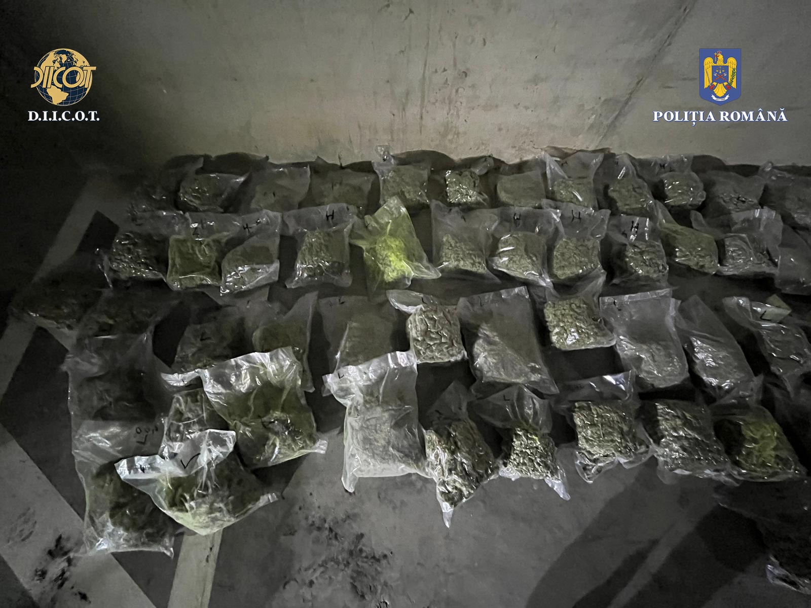 Peste 45 de kilograme de droguri, găsite în Cluj. Trei persoane au fost arestate