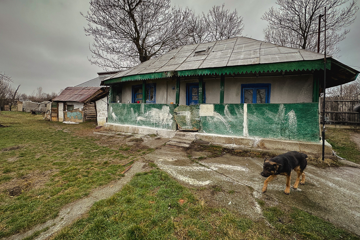 REPORTAJ. Într-un sat la 80 km de București, un tânăr cu o boală psihică, înstrăinat de părinți și de societate, se zbate să supraviețuiască: „Ieri am mâncat un ou”