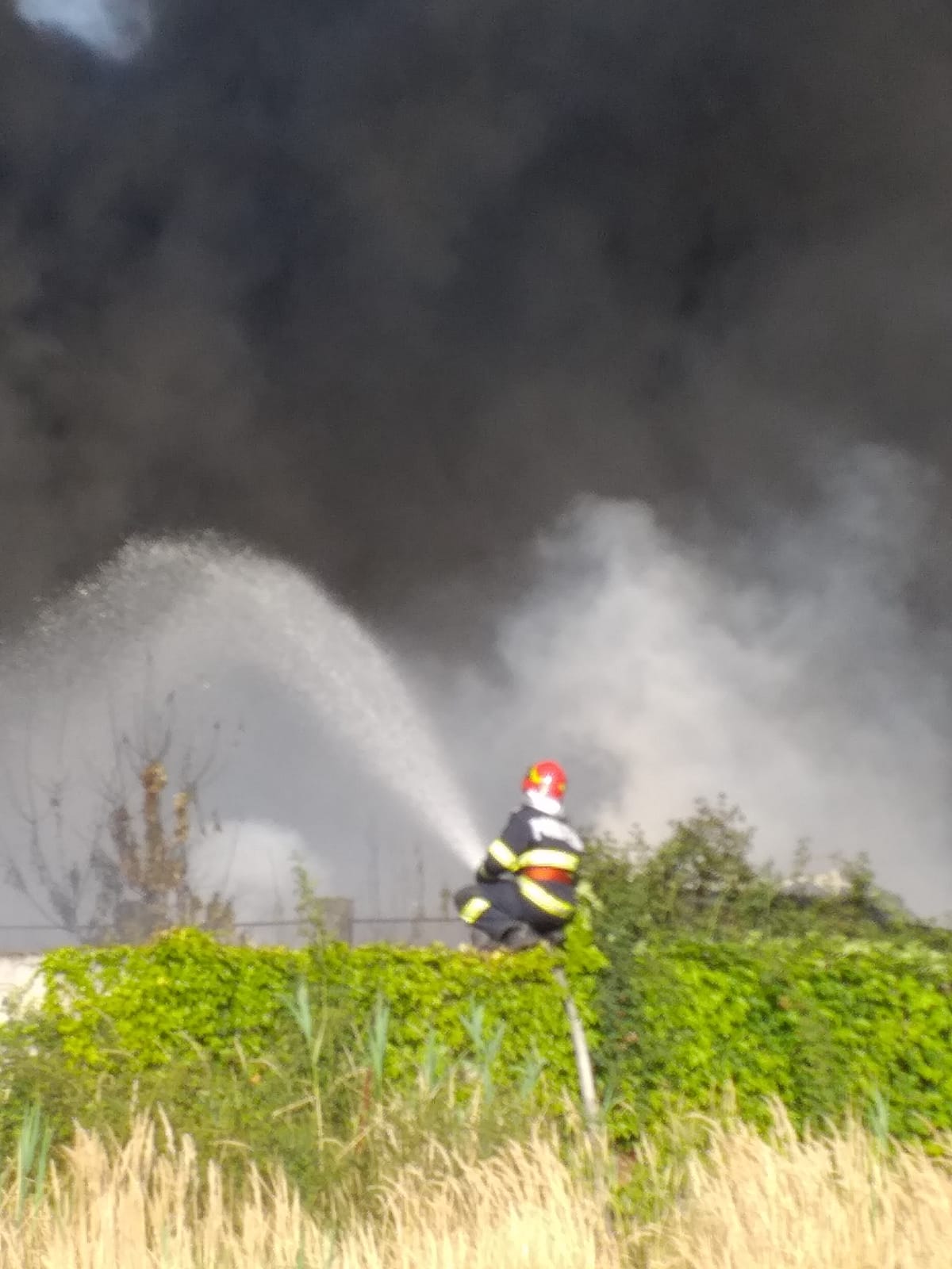 Mobilizare de forțe la incendiul de la Salonta. Zeci de pompieri se luptă cu flăcările de aproape 12 ore