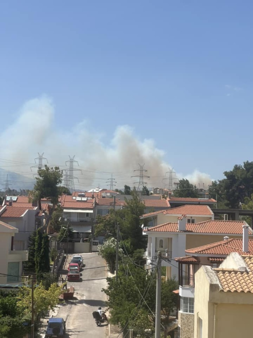 Sute de pompieri luptă să stingă incendiile din pădurile de lângă Atena: „Sunt mai multe focare, lupta este crâncenă”