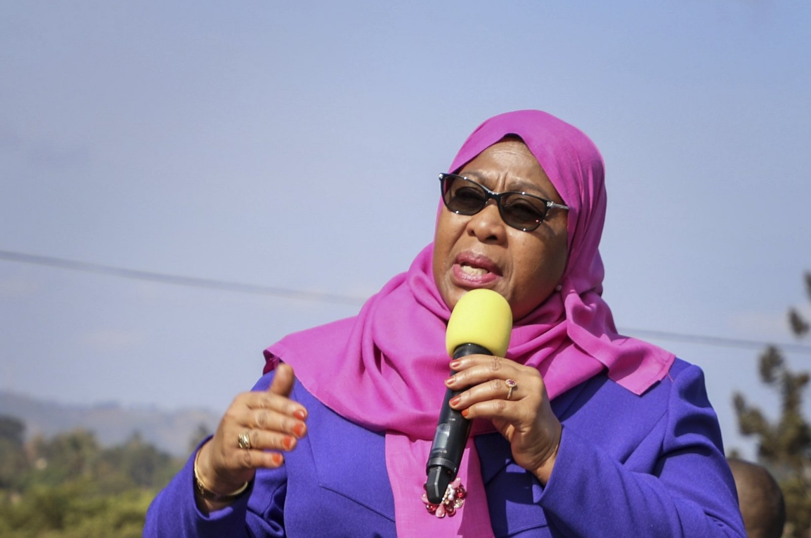 EU delegates denied access to Tanzania amid election abuse allegations