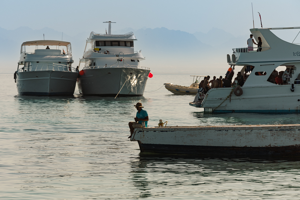 Corespondență din Egipt: Ce găsesc turiștii români în scufundările din Marea Roșie. Cronică și imagini din adâncuri