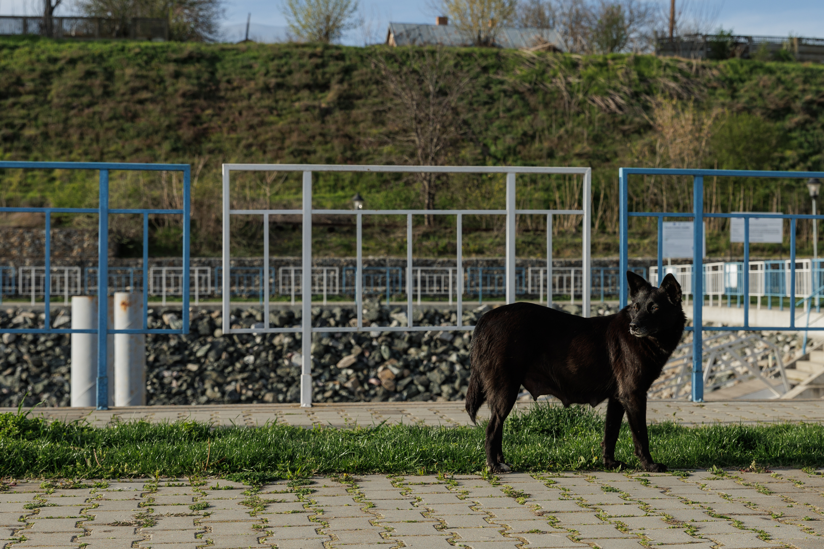 FOTOREPORTAJ. Frumusețea fără viitor a „celui mai urât oraș din România”: berzele s-au întors la Corabia, dar turiștii întârzie