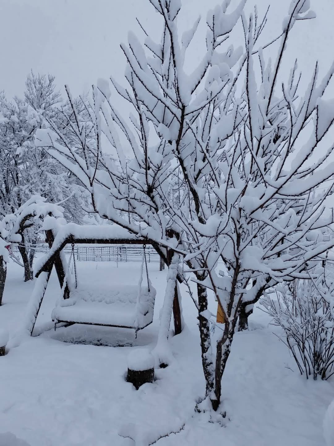 Ninge în mai multe județe din România. Meteorologii dezvăluie care este „singura parte bună” a ninsorilor din aprilie