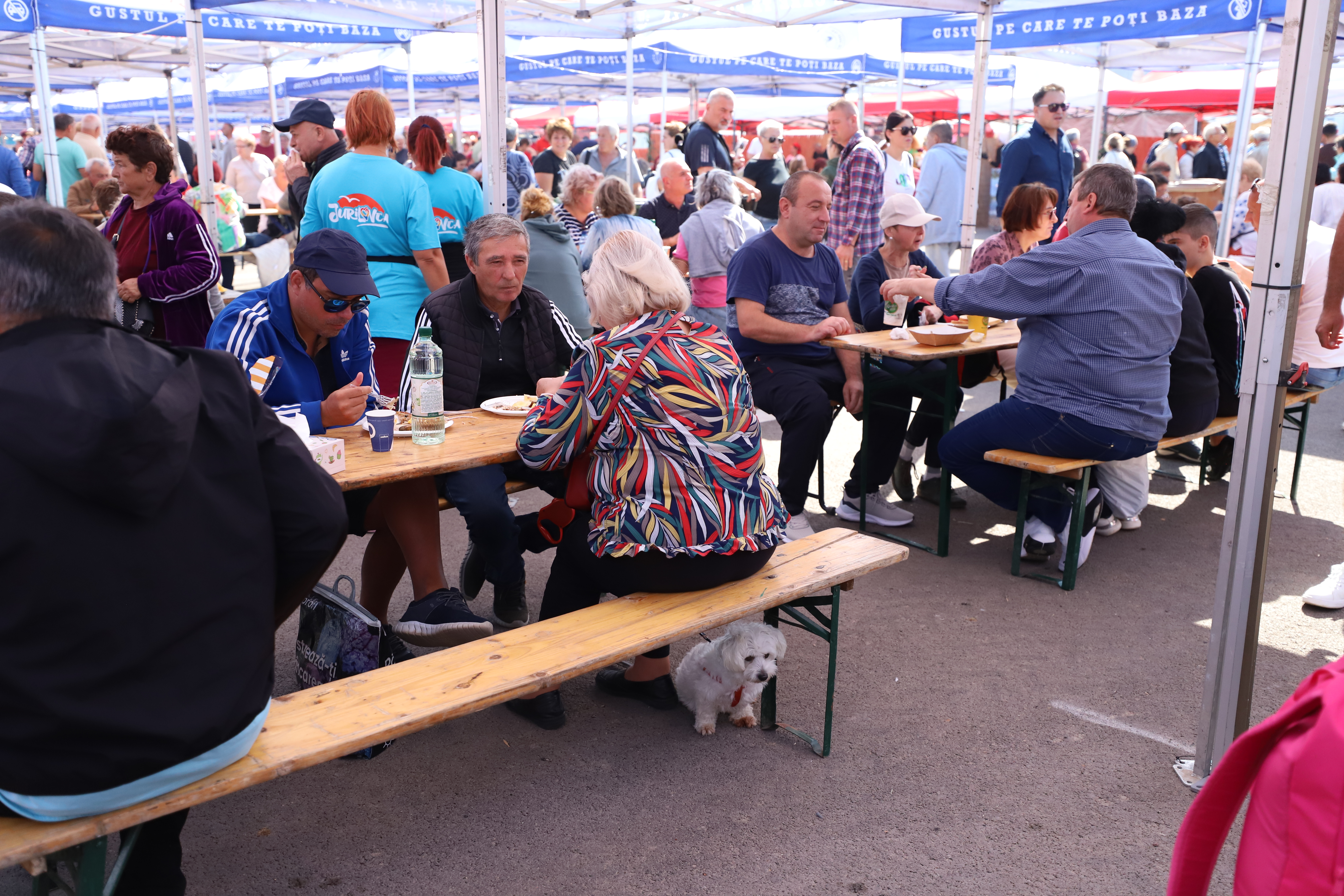 Secrete culinare de la Festivalul Borșului Lipovenesc din Jurilovca. Fără morcov, dar cu ardei și țicore de baltă: „Adevăratul gust îl dau oasele!” | FOTO REPORTAJ