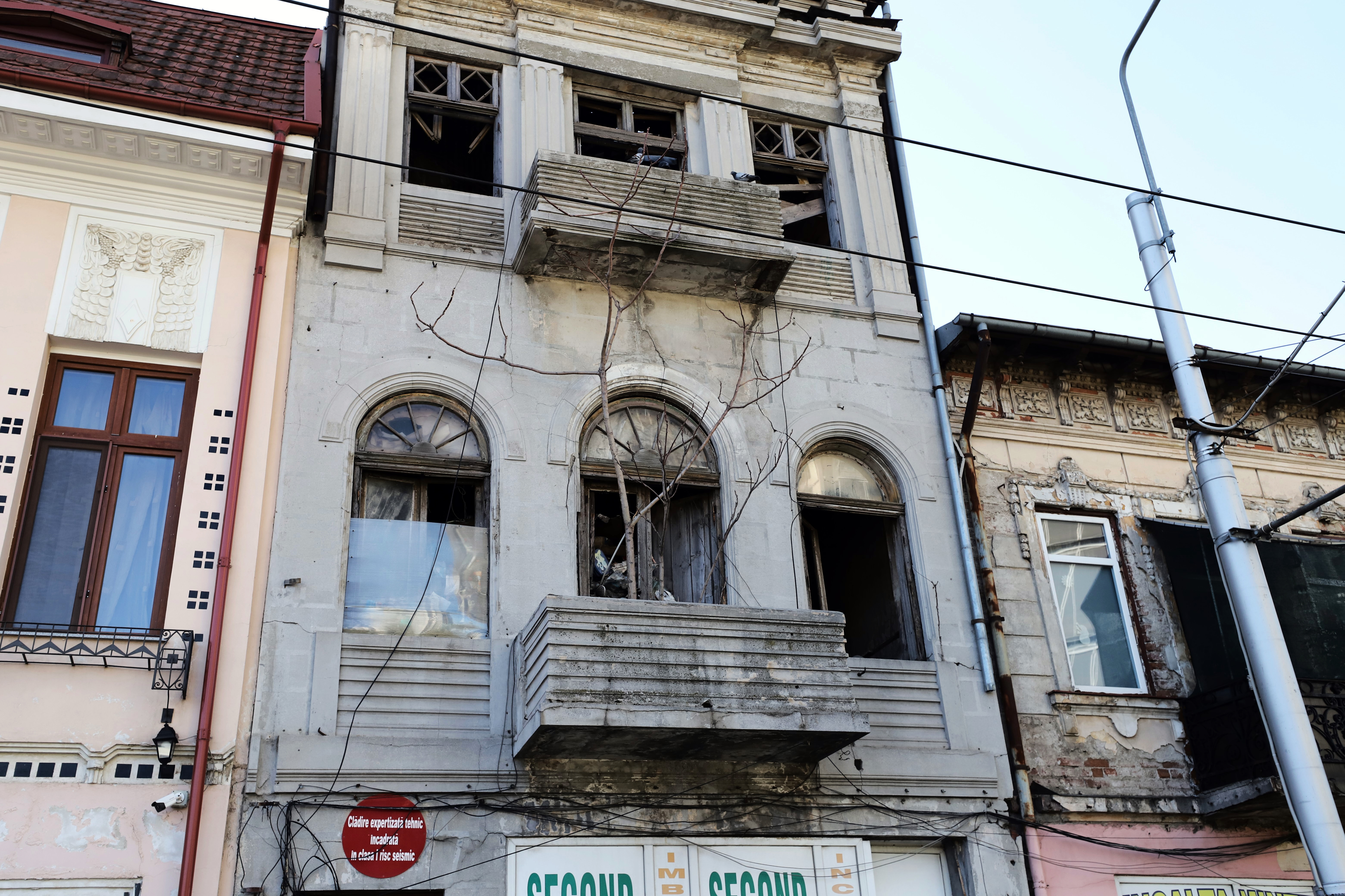ORAȘELE FĂRĂ SPAȚII VERZI. Fiecare bucureștean respiră oxigenul din mai puțin de un copac, dar aproape fiecare are o mașină. De unde poate veni salvarea 