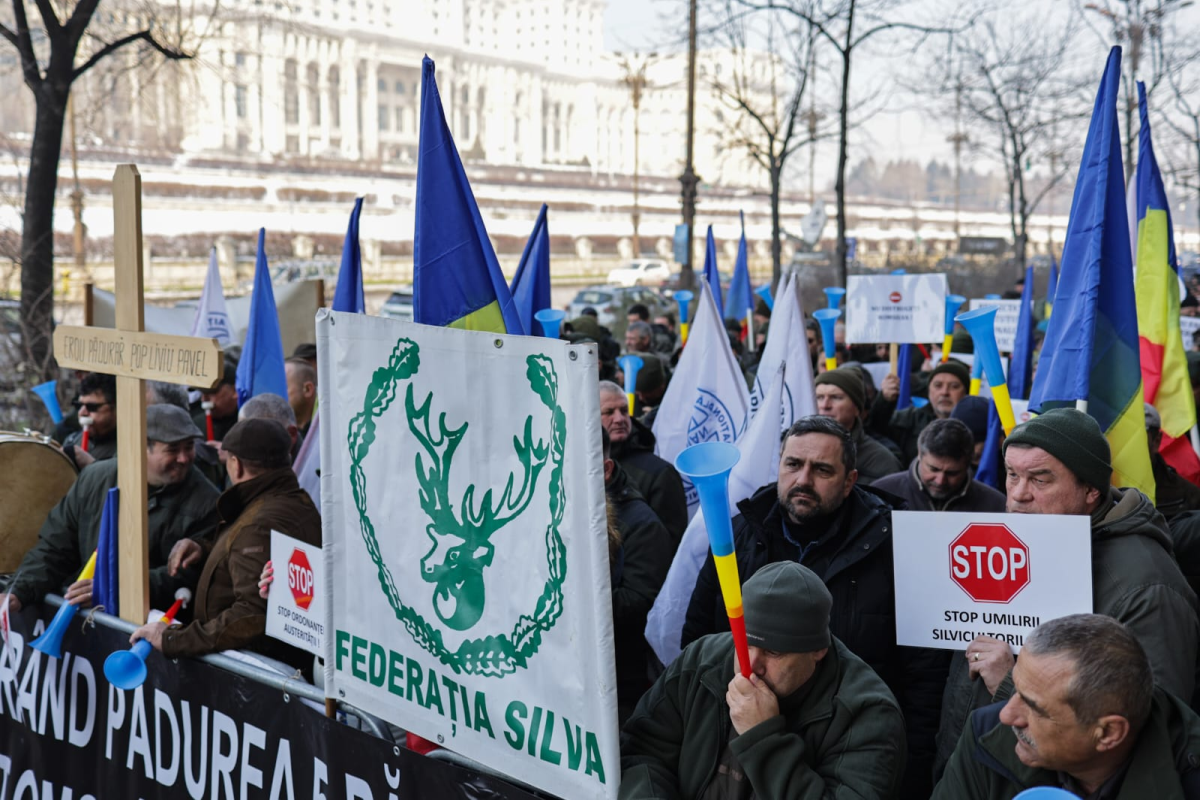 Protest al silvicultorilor în fața Ministerului Mediului, după ce Guvernul le-a redus salariile cu 25%