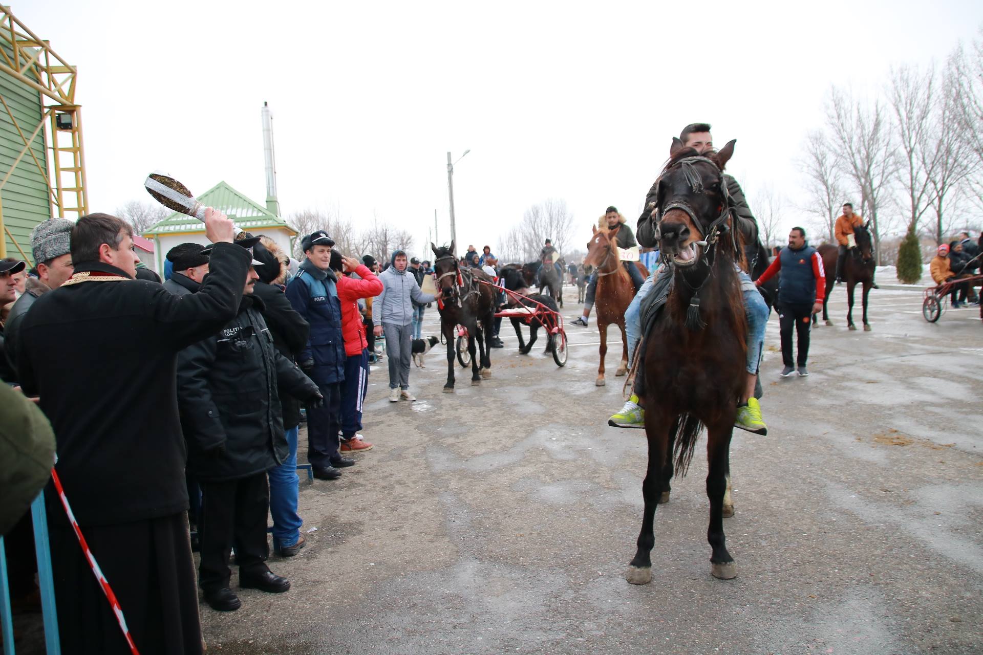 REPORTAJ: Localnicii din orașul lui Nea Mărin şi-au botezat caii pentru a-i feri de boli. Imagini superbe cu cei mai frumoși cai/ GALERIE FOTO