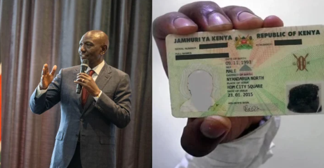 The document is designed to help the government maintain an updated record of foreign residents while enabling holders to access a range of regulated services.