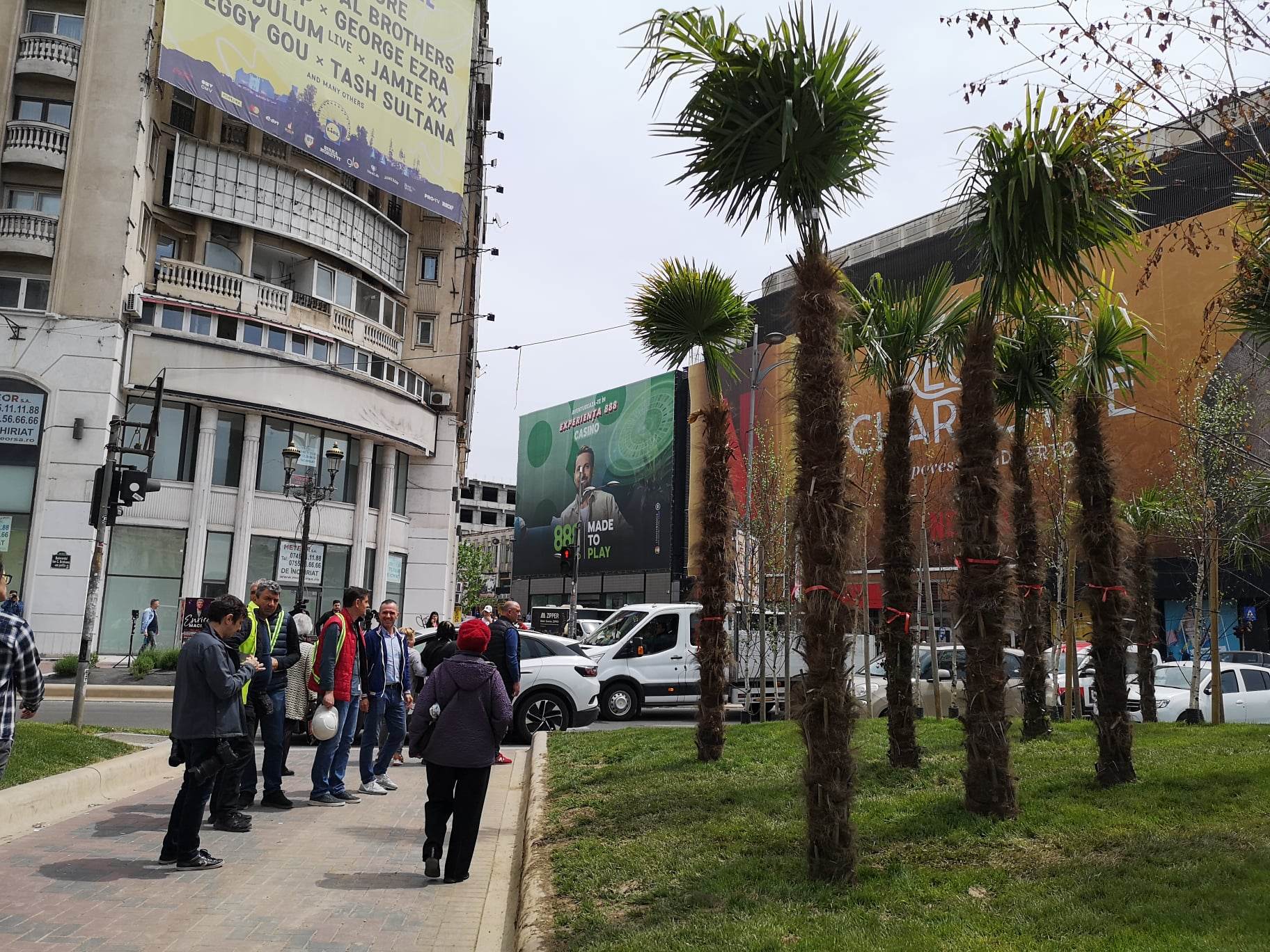 Nicușor Dan a scos palmierii puși de Negoiță la Piața Unirii, în urmă cu două zile. „Nu este vreo țară exotică”. Cei doi primari se atacă reciproc