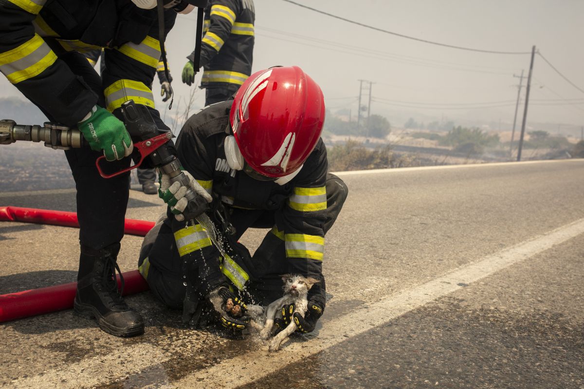 Imagini video emoționante cu pompierii români ovaționați în Grecia: „Luptă de parcă incendiile ar pune în pericol casele lor”