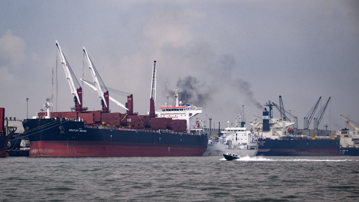 Large cargo ships are moored at the port of Lagos. The port of Lagos is Nigeria's oldest and largest port. [Photo by Bernd von Jutrczenka/picture alliance via Getty Images]