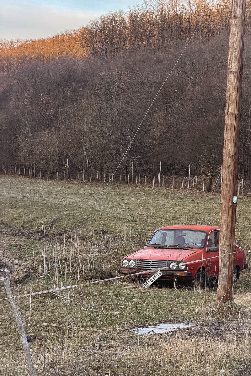 Umbrele lui Țiriac și Porsche la Balc, județul Bihor: „Se vânează mai pe ascuns, iar de la castel s-au dat oameni afară”
