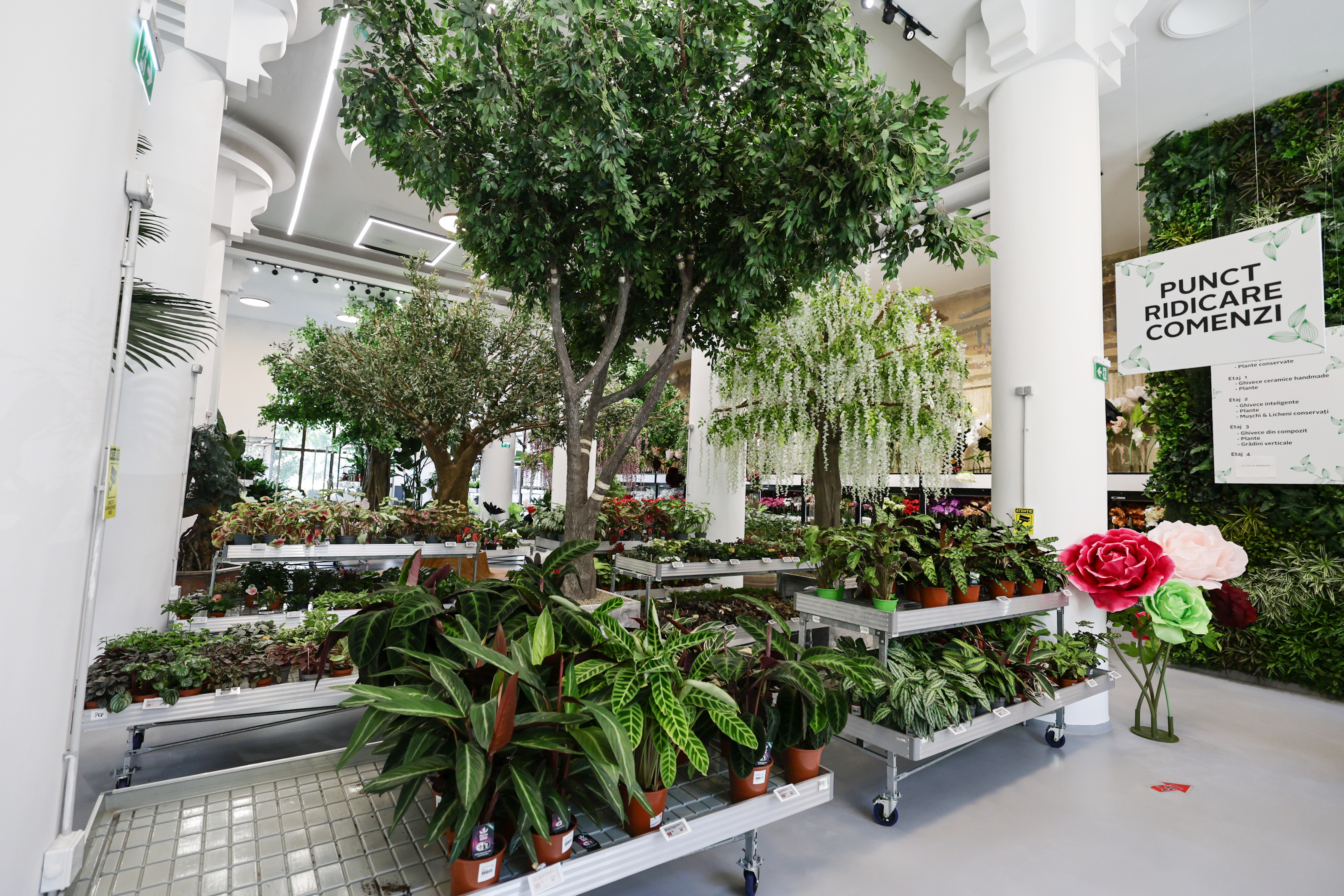 Mall-ul de plante din București are cinci niveluri cu peste 1.200 de soiuri, ghivece inteligente și un mesteacăn artificial care costă cât un apartament