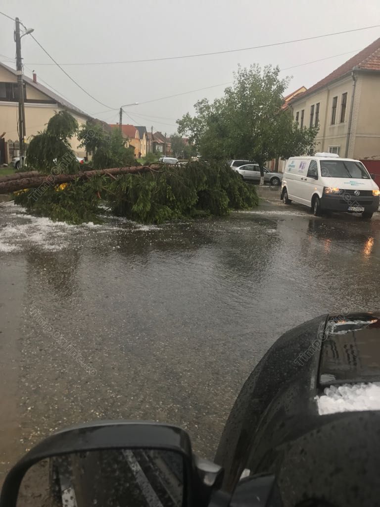UPDATE: Inundațiile și furtunile au făcut ravagii în șase județe din țară. Zeci de oameni, pe drumuri în urma vijeliei