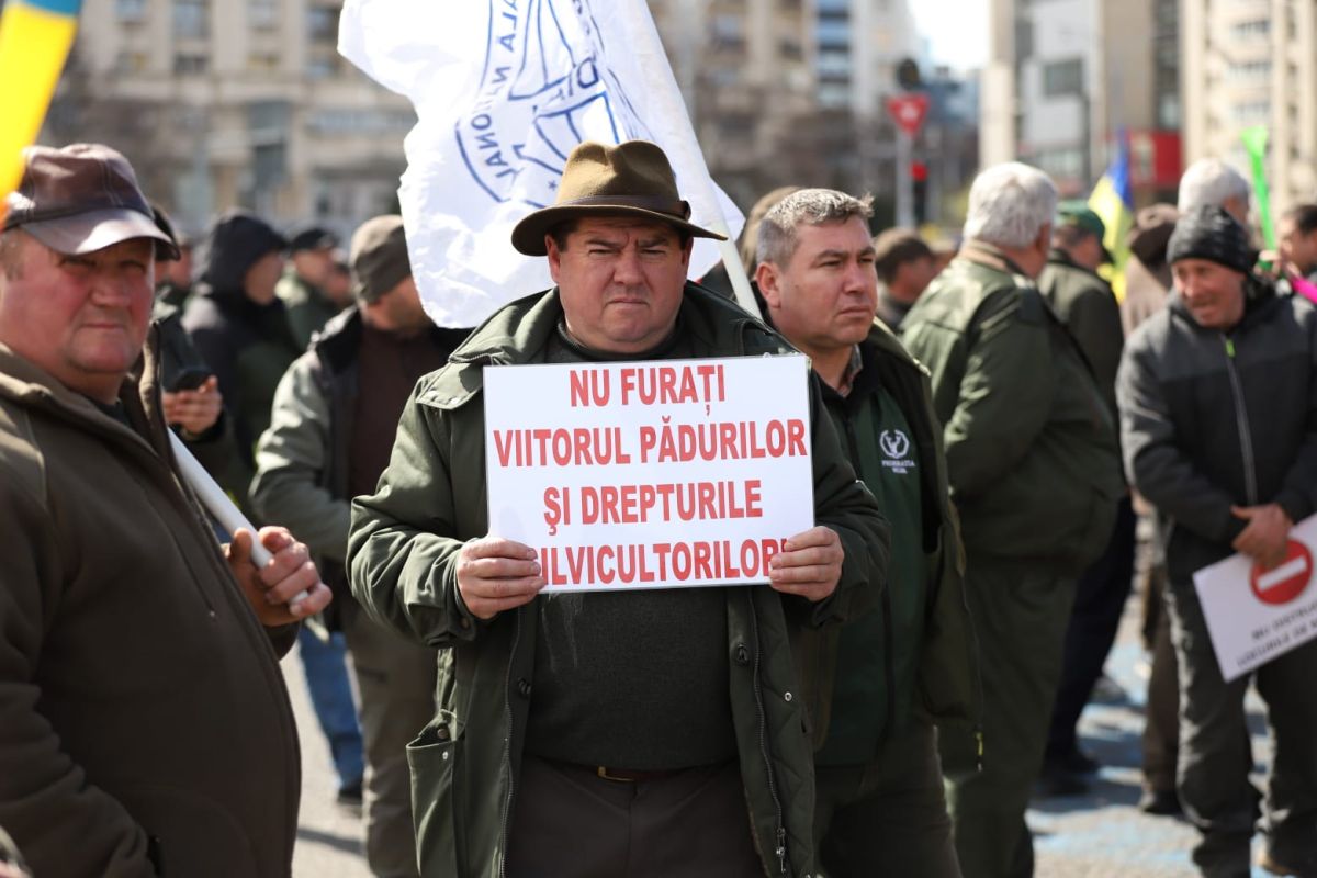 Silvicultorii protestează la București față de tăierea salariilor și amenință cu greva generală