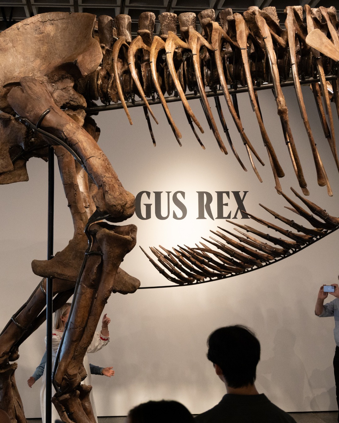 „Gus” este cel mai scump dinozaur din lume: suma-record cu care s-a vândut un T-Rex uriaș de 67 de milioane de ani, în SUA | VIDEO