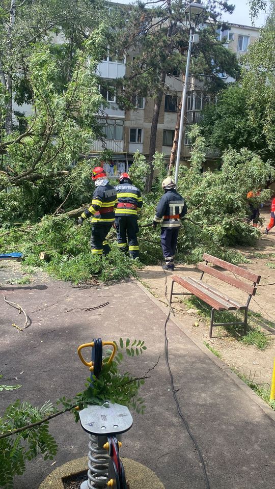 Un copil a fost rănit la locul de joacă după ce un copac s-a rupt şi a căzut peste el, la Suceava. FOTO