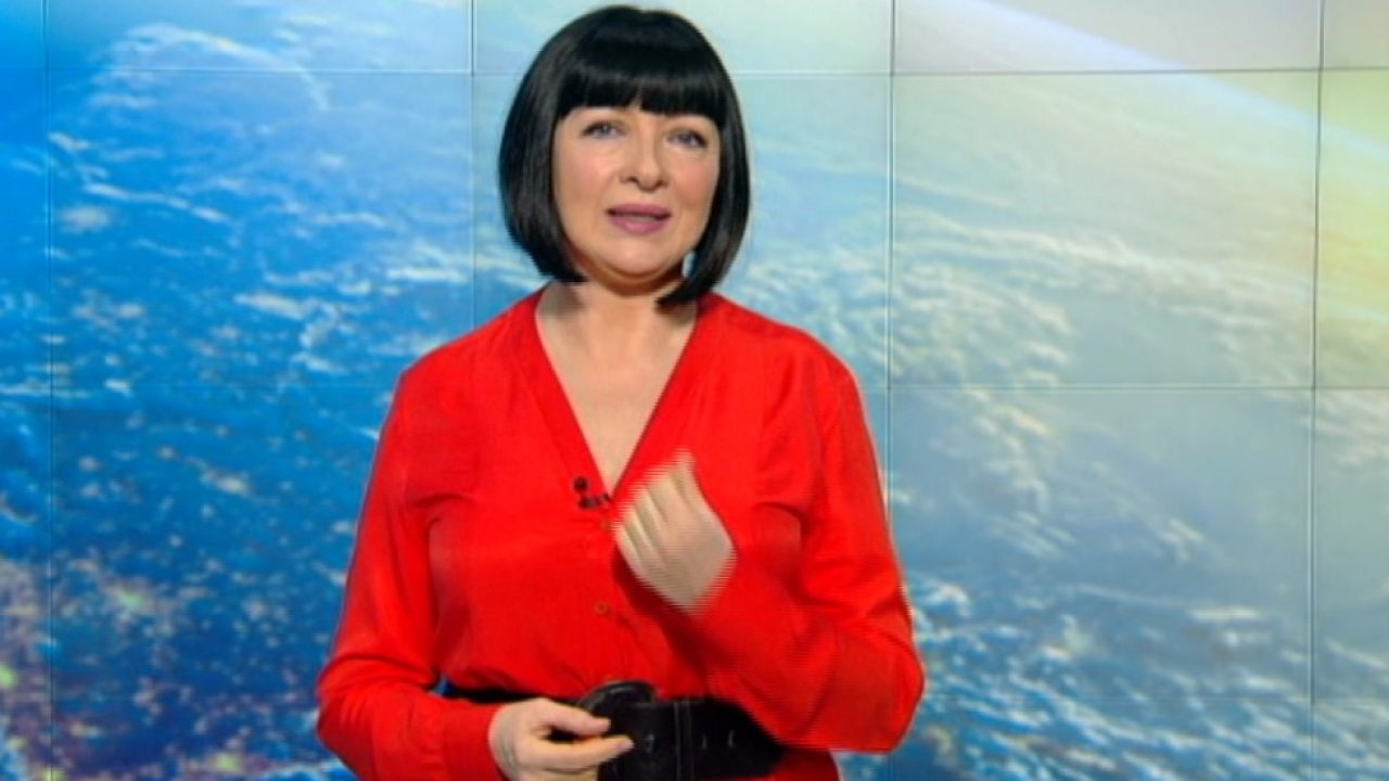 Neti Sandu