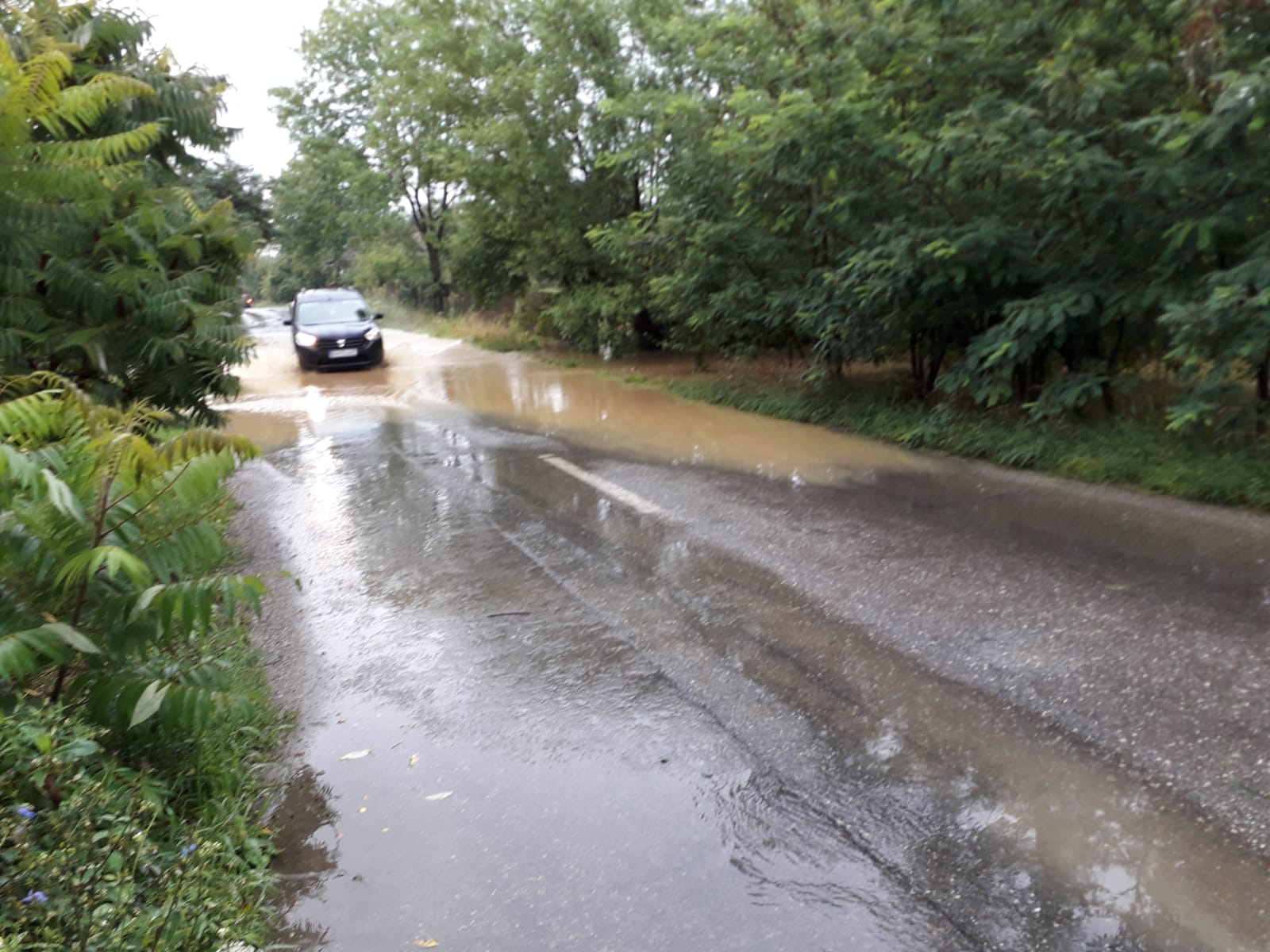 Mai multe gospodării din zona Făgărașului au fost inundate. Doi bolnavi au fost evacuați din case de către pompieri/ VIDEO&FOTO