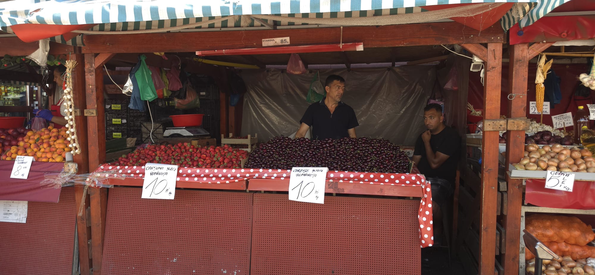Cât costă pepenii de Dăbuleni în Piața Obor în plin sezon