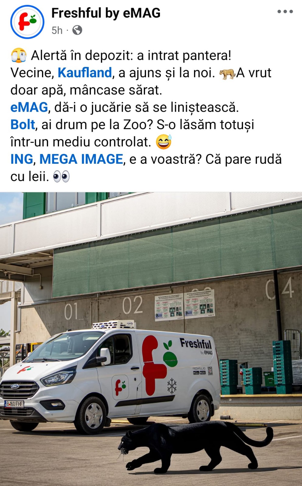 Pantera, noua vedetă virală a României. Firmele se întrec în reclame haioase I VIDEO