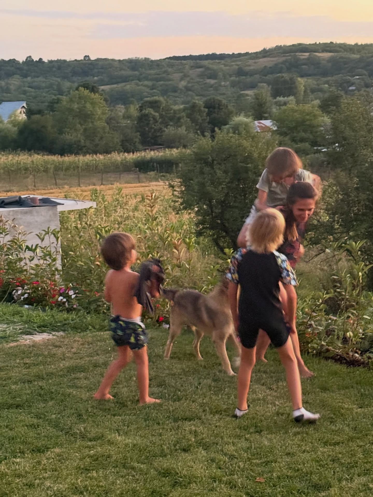 Adela Popescu are nevoie de ajutorul oamenilor, după ce câinele familiei a dispărut