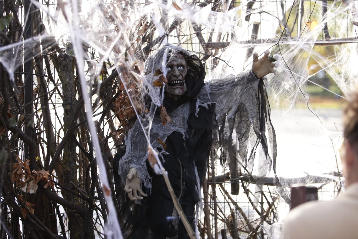 FOTOREPORTAJ. Lacul Morii s-a transformat pentru cel mai mare festival de Halloween din România cu 15,5 tone de dovleci și peste o mie de baloți de paie