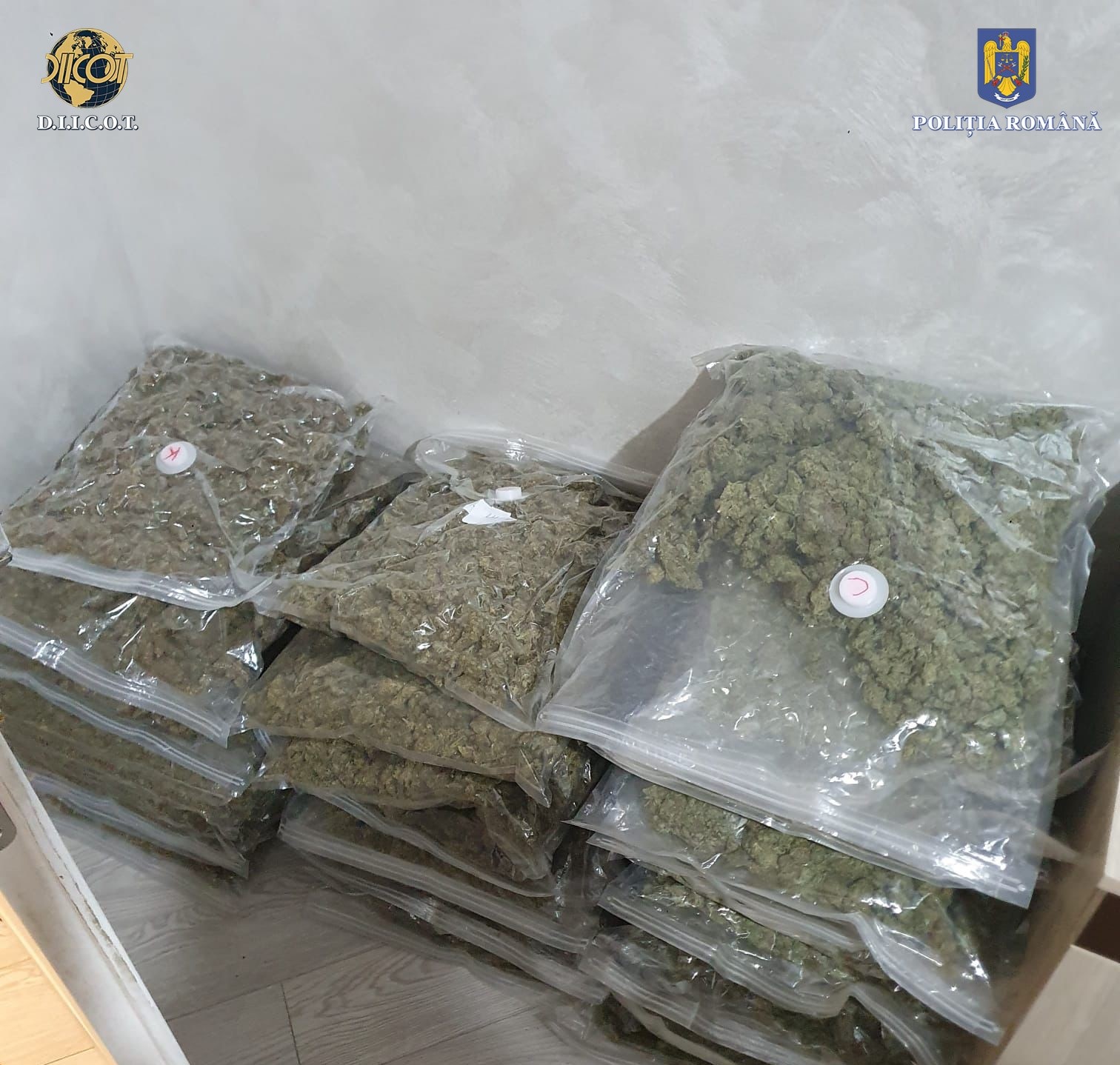 Geantă cu 130.000 de euro aruncată pe geam în timpul unor percheziții la dealeri de droguri din Cluj și Iași. Captura făcută de polițiști