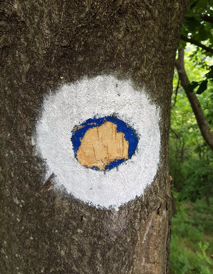 Lupta cu morile de vânt. Salvamontiștii refac singuri, în locul primăriilor, marcajele montane, pe care turiștii le vandalizează apoi. Stâlpii sunt furați de localnici și vânduți la fier vechi