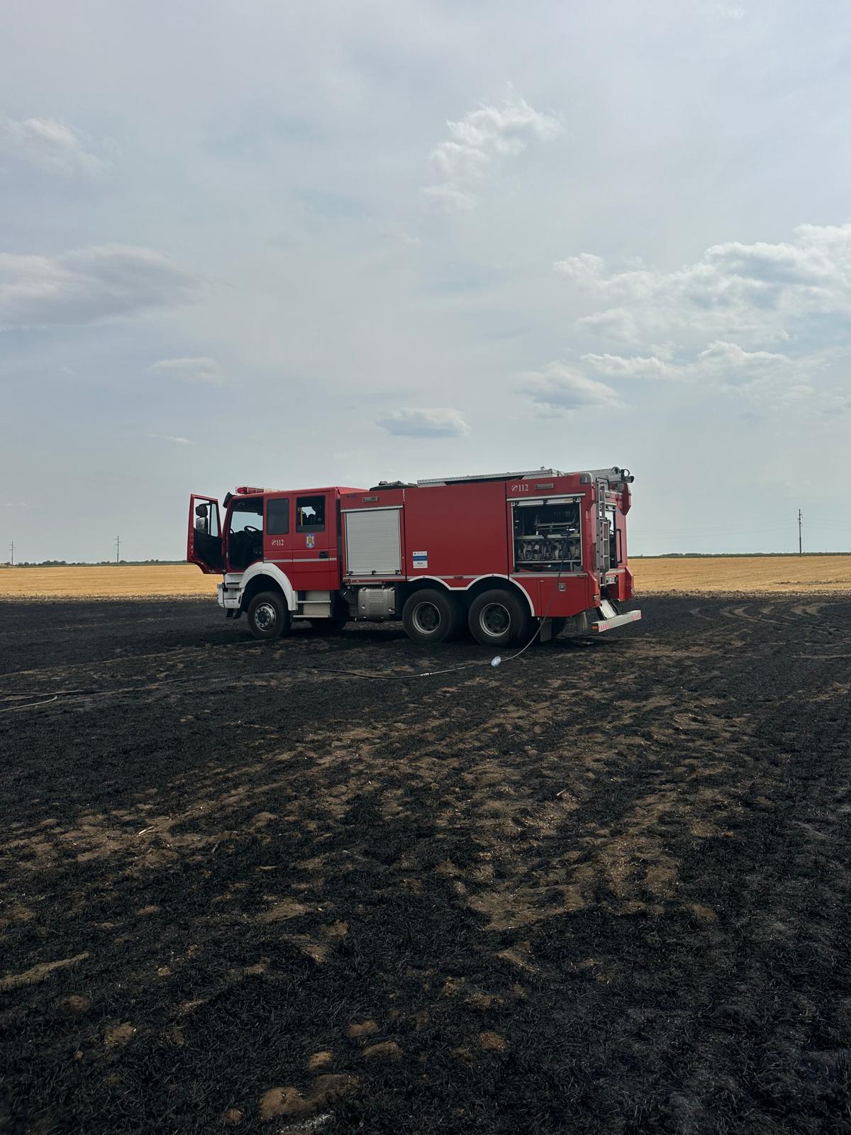 Incendiu de vegetație puternic în Popești Leordeni. Mașina pompierilor, afectată de foc din cauza rafalelor de vânt. S-a emis Ro-Alert