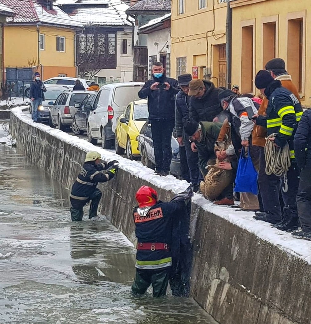 VIDEO | O căprioară blocată într-un sloi de gheață și un câine căzut în Târnava Mare, salvați de pompierii din Alba